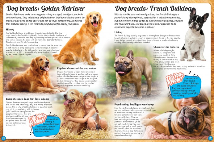 Discover an Encyclopedia of Dogs: A Guide to Domestic Canines (Wonders of Learning Padded Foil Book) [KSIĄŻKA]