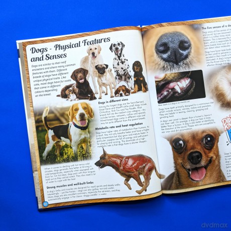 Discover an Encyclopedia of Dogs: A Guide to Domestic Canines (Wonders of Learning Padded Foil Book) [KSIĄŻKA]
