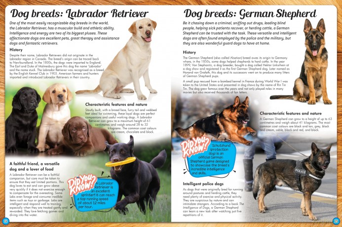 Discover an Encyclopedia of Dogs: A Guide to Domestic Canines (Wonders of Learning Padded Foil Book) [KSIĄŻKA]