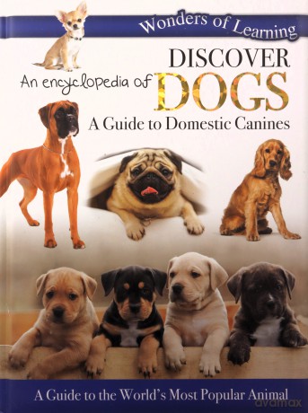Discover an Encyclopedia of Dogs: A Guide to Domestic Canines (Wonders of Learning Padded Foil Book) [KSIĄŻKA]