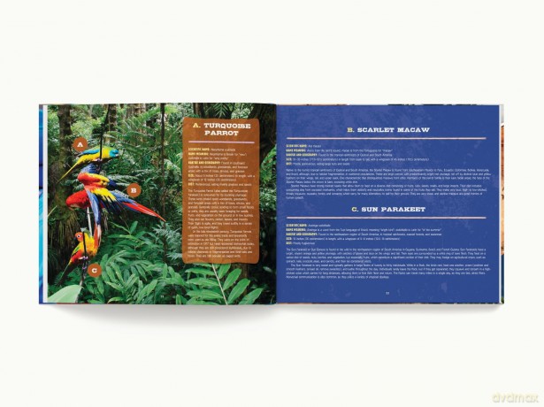 Discovering Birds: The Ultimate Handbook to the Birds of the World - Roger Lederer [KSIĄŻKA]