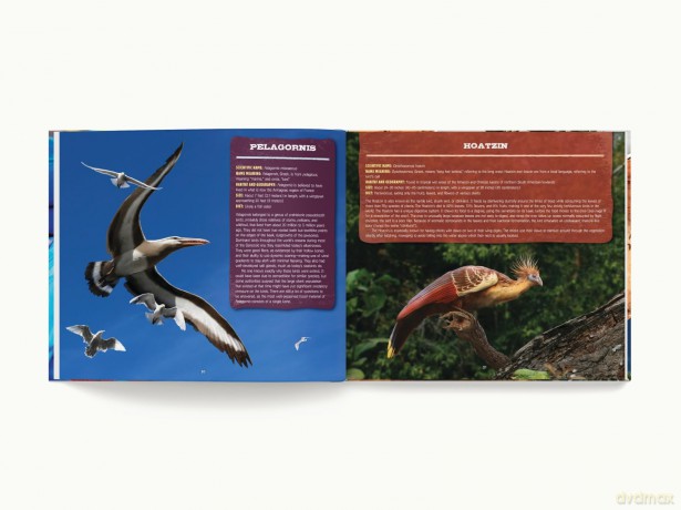 Discovering Birds: The Ultimate Handbook to the Birds of the World - Roger Lederer [KSIĄŻKA]