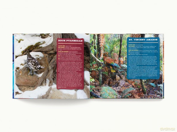 Discovering Birds: The Ultimate Handbook to the Birds of the World - Roger Lederer [KSIĄŻKA]