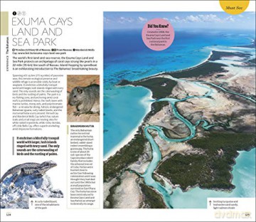 DK Caribbean (Travel Guide) - DK Travel [KSIĄŻKA]