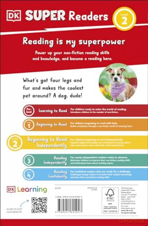 DK Super Readers Level 2 Dog Dude [KSIĄŻKA]