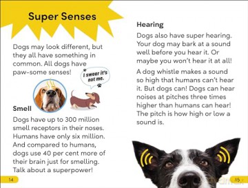 DK Super Readers Level 2 Dog Dude [KSIĄŻKA]