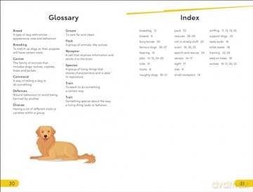 DK Super Readers Level 2 Dog Dude [KSIĄŻKA]