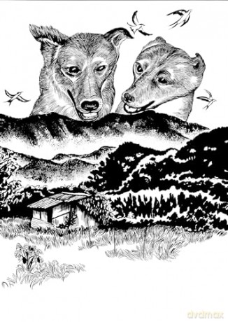 Dog Days - Keum Suk Gendry-Kim [KOMIKS]