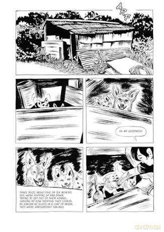 Dog Days - Keum Suk Gendry-Kim [KOMIKS]