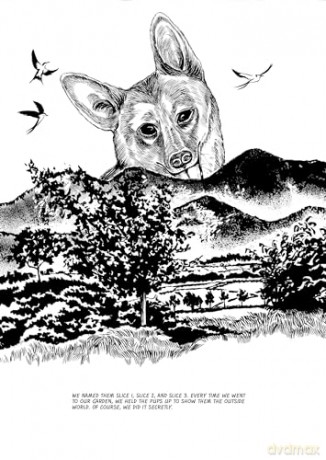 Dog Days - Keum Suk Gendry-Kim [KOMIKS]