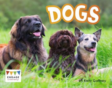 Dogs (Engage Literacy Blue) - Kelly Gaffney [KSIĄŻKA]