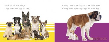 Dogs (Engage Literacy Blue) - Kelly Gaffney [KSIĄŻKA]