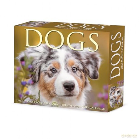 Dogs 2025 Box [KSIĄŻKA]