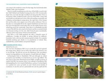 Dorset (Slow Travel) (Bradt Travel Guides): Local, characterful guides to Britain's Special Places (Bradt Travel Guides (Slow Travel series)) - Alexandra Richards [KSIĄŻKA]
