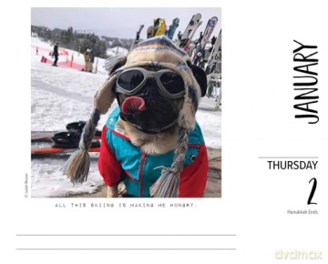 Doug the Pug 2025 Box [KSIĄŻKA]