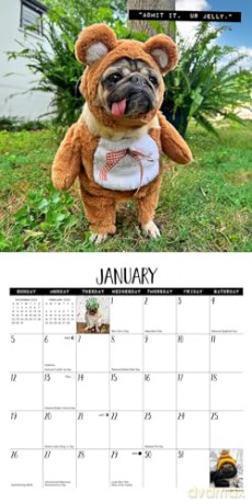 Doug the Pug 2025 Mini [KSIĄŻKA]