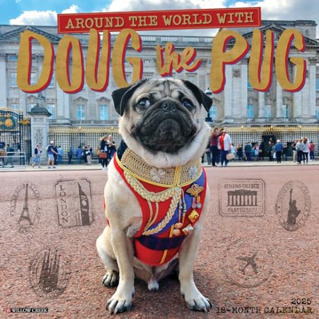 Doug the Pug 2025 Wall [KSIĄŻKA]