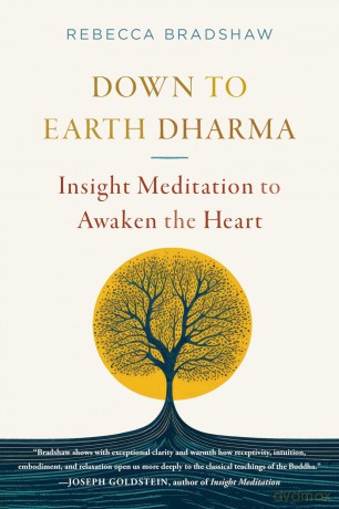 Down to Earth Dharma: Insight Meditation to Awaken the Heart - Rebecca Bradshaw [KSIĄŻKA]