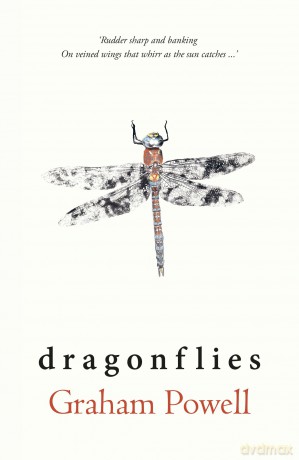 Dragonflies - Graham Powell [KSIĄŻKA]