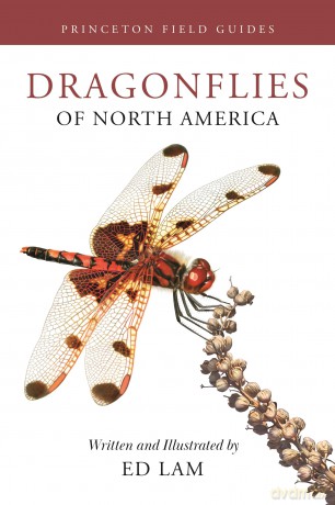 Dragonflies of North America: 167 (Princeton Field Guides) - Ed Lam [KSIĄŻKA]