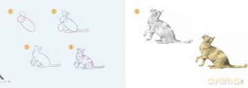 Draw 30: Cats: in easy steps - Polly Pinder [KSIĄŻKA]