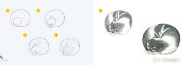 Draw 30: Cats: in easy steps - Polly Pinder [KSIĄŻKA]