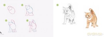 Draw 30: Cats: in easy steps - Polly Pinder [KSIĄŻKA]