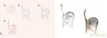 Draw 30: Cats: in easy steps - Polly Pinder [KSIĄŻKA]