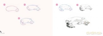 Draw 30: Cats: in easy steps - Polly Pinder [KSIĄŻKA]