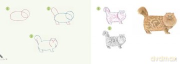 Draw 30: Cats: in easy steps - Polly Pinder [KSIĄŻKA]