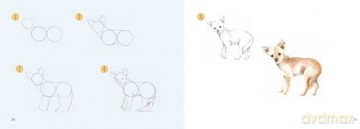 Draw 30: Dogs: in easy steps - Susie Hodge [KSIĄŻKA]