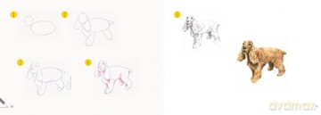 Draw 30: Dogs: in easy steps - Susie Hodge [KSIĄŻKA]