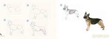 Draw 30: Dogs: in easy steps - Susie Hodge [KSIĄŻKA]