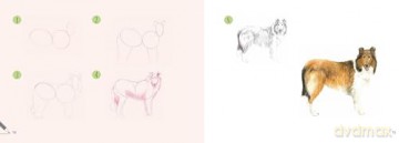 Draw 30: Dogs: in easy steps - Susie Hodge [KSIĄŻKA]