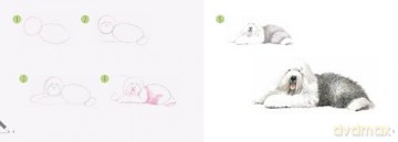 Draw 30: Dogs: in easy steps - Susie Hodge [KSIĄŻKA]