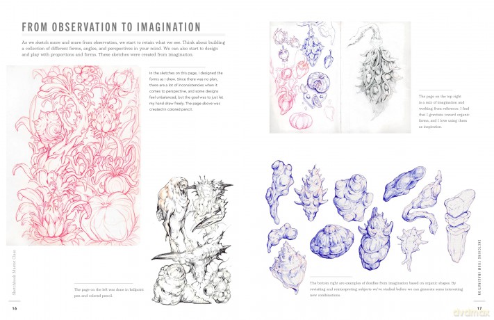 Drawing Basics and Beyond: Transform Observation into Imagination (Sketchbook Master Class) - Sorie Kim [KSIĄŻKA]