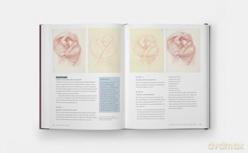 Drawing the Body: Reading the Human Form in Art - Roberto Osti [KSIĄŻKA]
