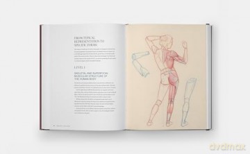 Drawing the Body: Reading the Human Form in Art - Roberto Osti [KSIĄŻKA]
