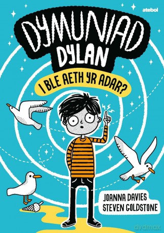 Dymuniad Dylan: i Ble'r Aeth yr Adar - Joanna Davies [KSIĄŻKA]