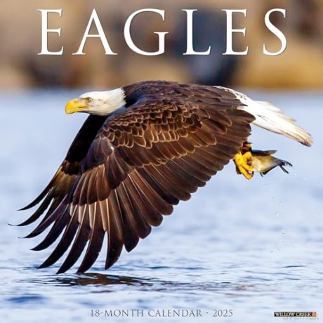 Eagles 2025 Wall [KSIĄŻKA]