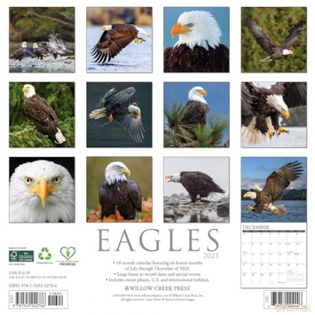 Eagles 2025 Wall [KSIĄŻKA]