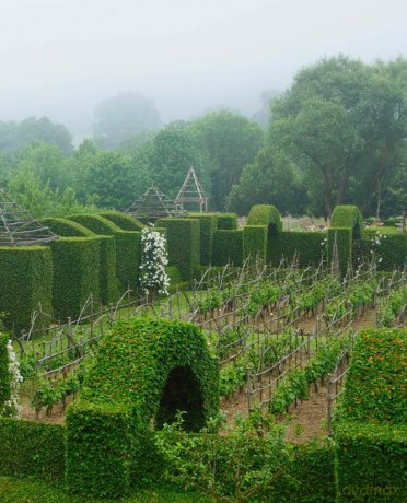 Earthly Utopias: Sacred Gardens of the World - Yolanda Zappaterra [KSIĄŻKA]