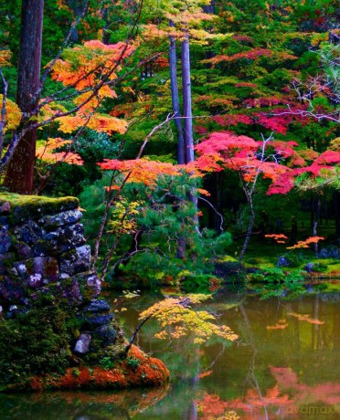 Earthly Utopias: Sacred Gardens of the World - Yolanda Zappaterra [KSIĄŻKA]