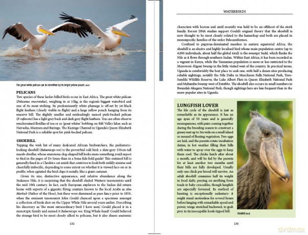 East African Wildlife (Bradt Travel Guides) - Philip Briggs [KSIĄŻKA]