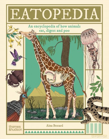 Eatopedia: An encyclopedia of how animals eat, digest and poo - Aina Bestard [KSIĄŻKA]