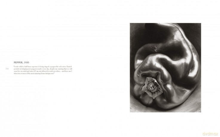 Edward Weston - Steve Crist [KSIĄŻKA]