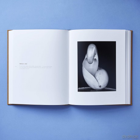 Edward Weston - Steve Crist [KSIĄŻKA]