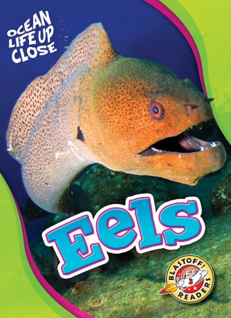 Eels (Ocean Life Up Close) - Nathan Sommer [KSIĄŻKA]
