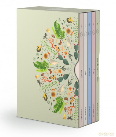 Elementals: 5-Volume Set - Gavin Van Horn [KSIĄŻKA]