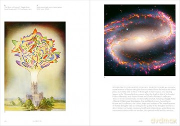 Elements: Chaos, order and the five elemental forces - Stephen Ellcock [KSIĄŻKA]